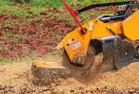 Best Firewood Processing and Delivery  in Irondale, GA